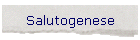Salutogenese